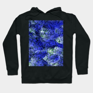 Colors 403 by Kristalin Davis Hoodie